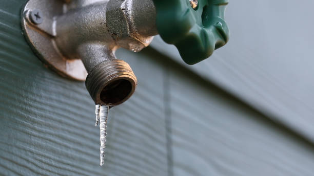 Best Plumbing Inspection Services  in Claremont, NC